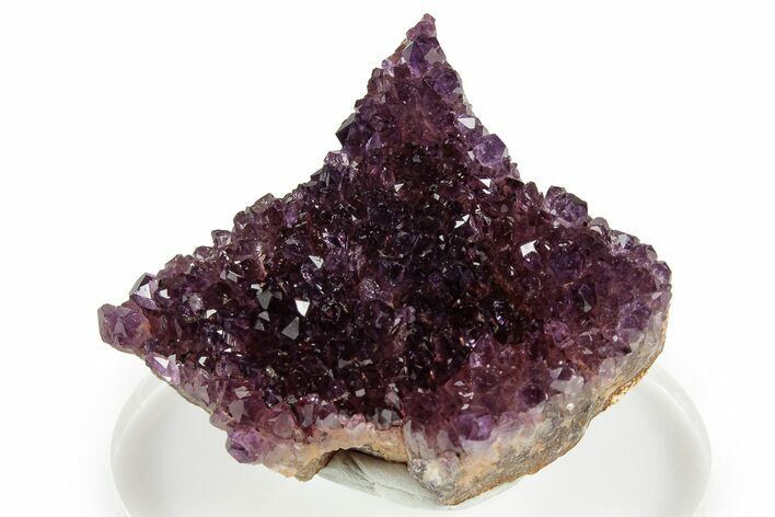 Dark Purple Amethyst Cluster - Alacam Mine, Turkey #347638
